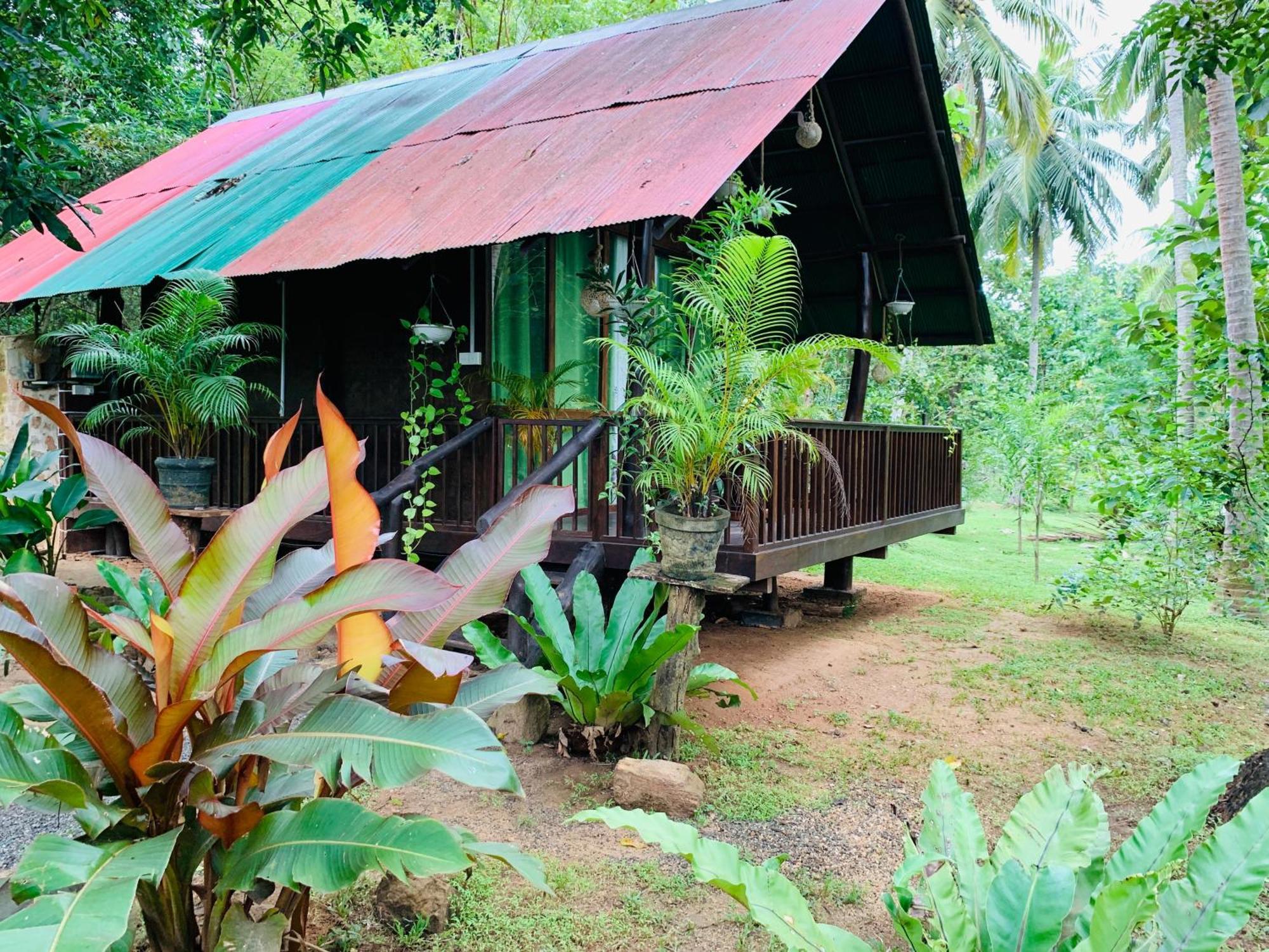 Nature World Jungle Paradise Udawalawe Room photo